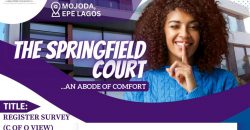 THE SPRINGFIELD COURT