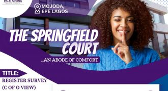 THE SPRINGFIELD COURT